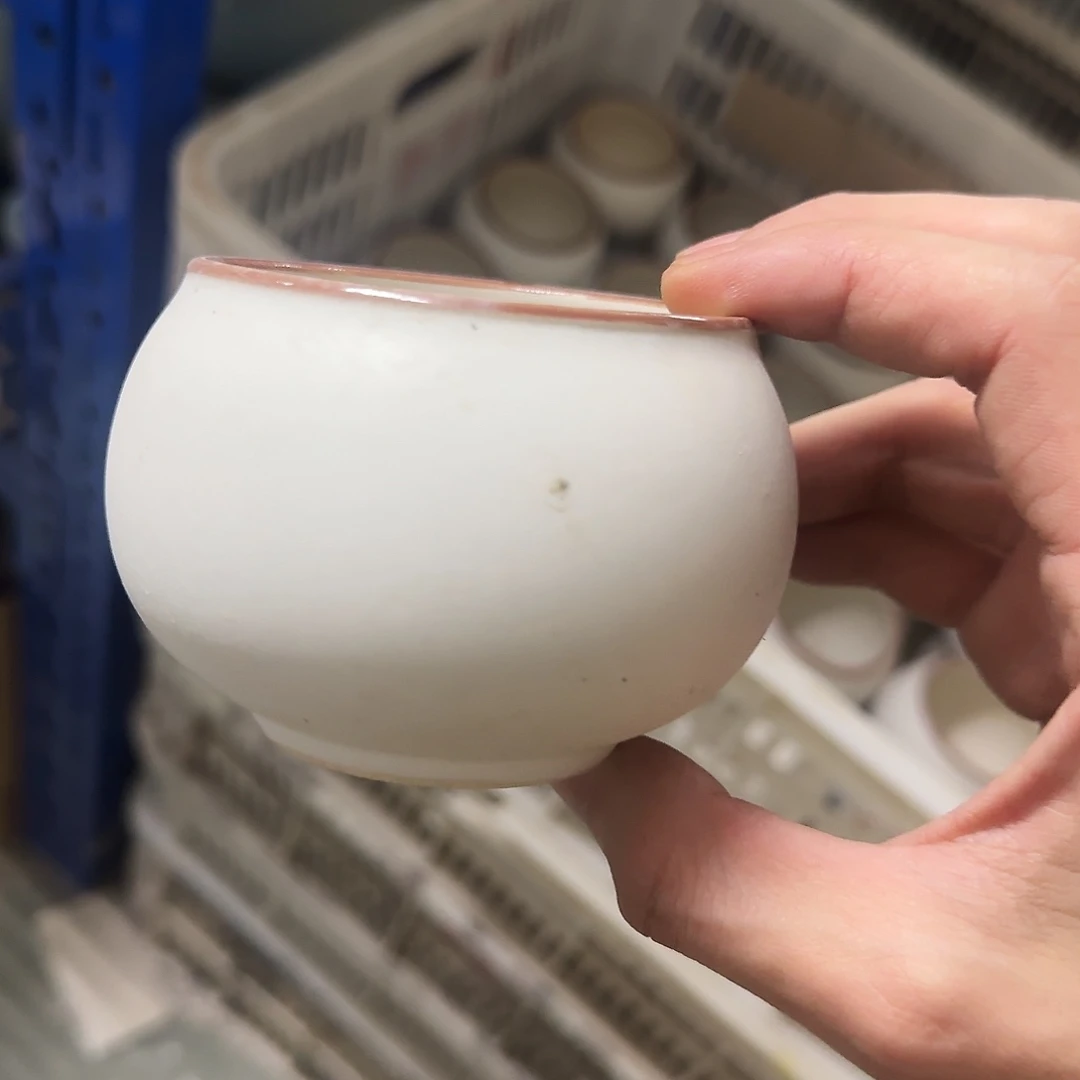 福利局绿植多肉盆［凑9元包邮24小时发］