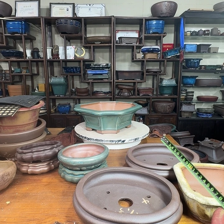 花***甲紫砂花盆加奎紫砂花盆