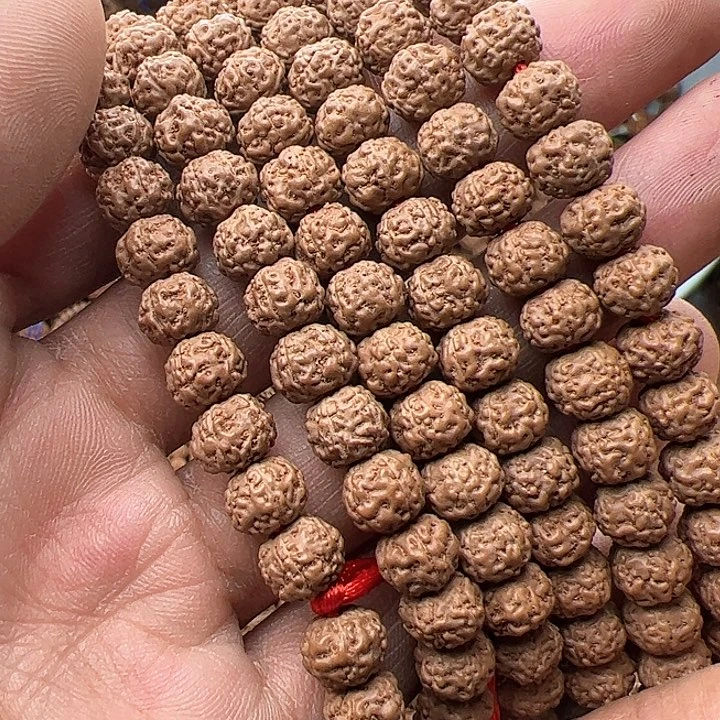 金刚菩提手串娜**?花王