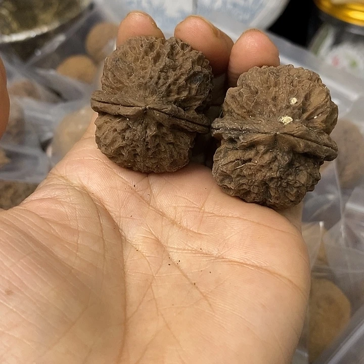 核桃云南铁核桃基地33