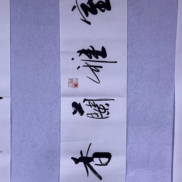 书法书画家作品欣赏