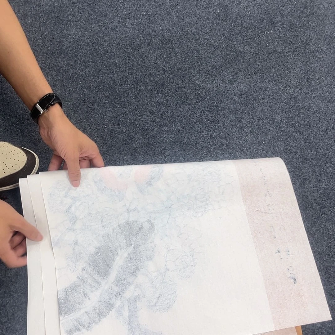 国画宣纸国画纯手绘字画