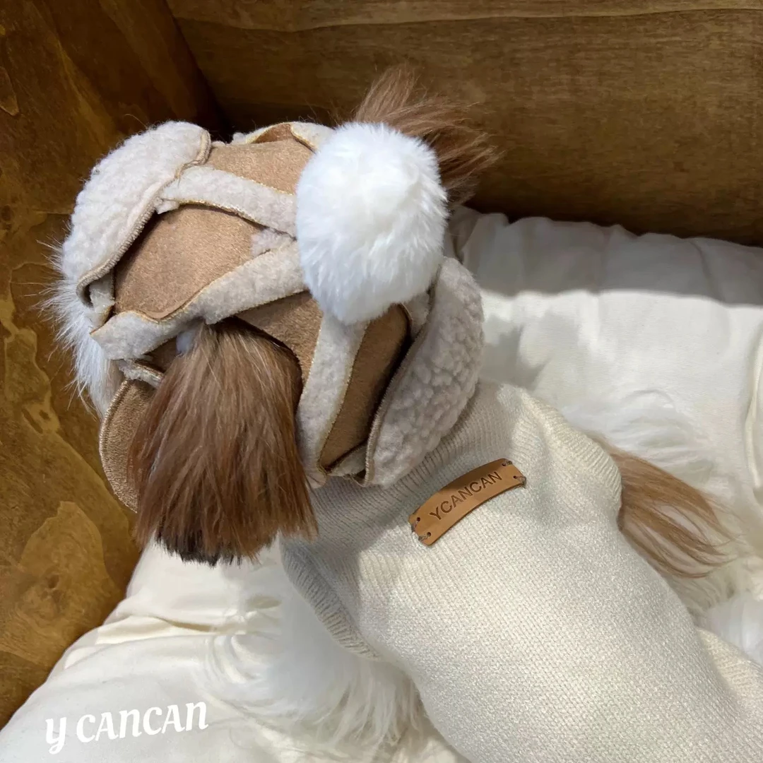 YCANCAN 秋冬宠物猫狗马尔济斯衣服保暖复古帽子