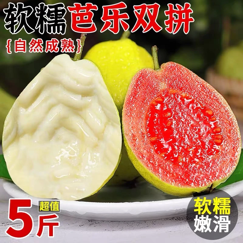 广西软糯奶油红心白心双拼番石榴新鲜低糖低卡水果