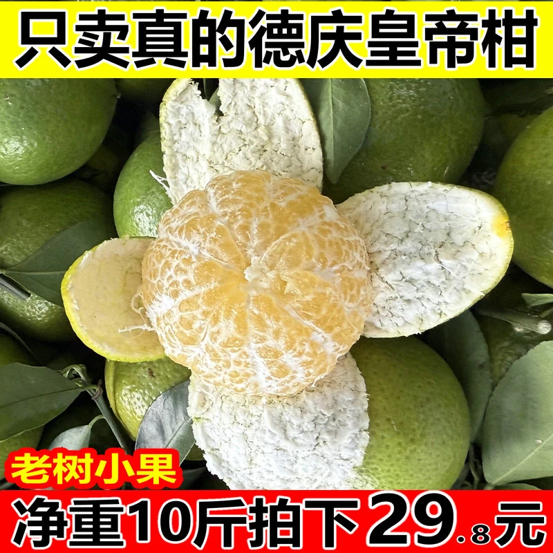 [新鲜现摘]正宗广东德庆皇帝柑当季新鲜贡柑应季橘子纯甜不酸