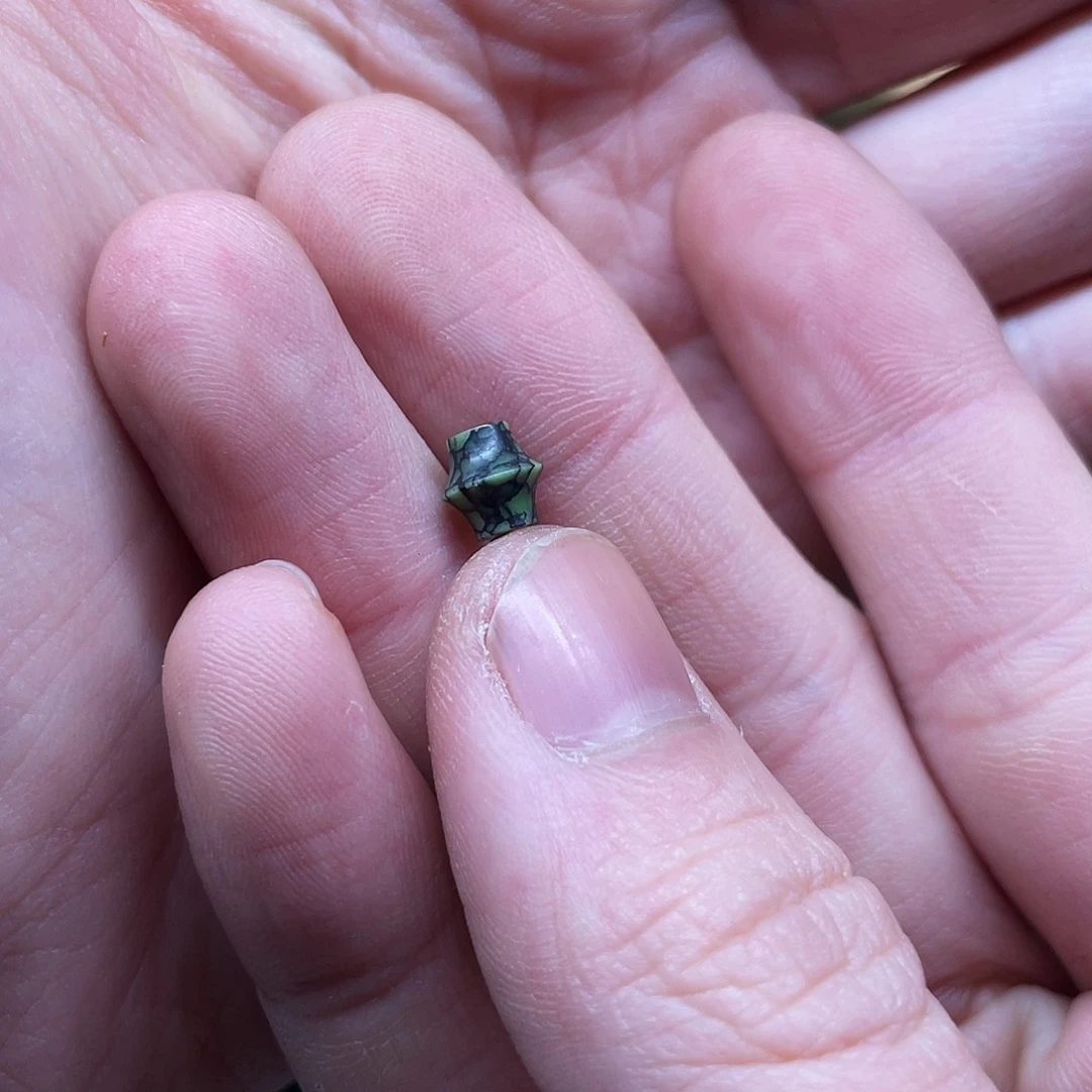 下***，树脂制品菜籽线束