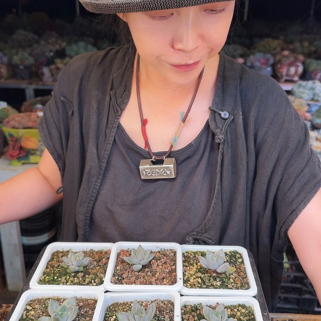 一****⁹一男，邀月单头4个320     肉