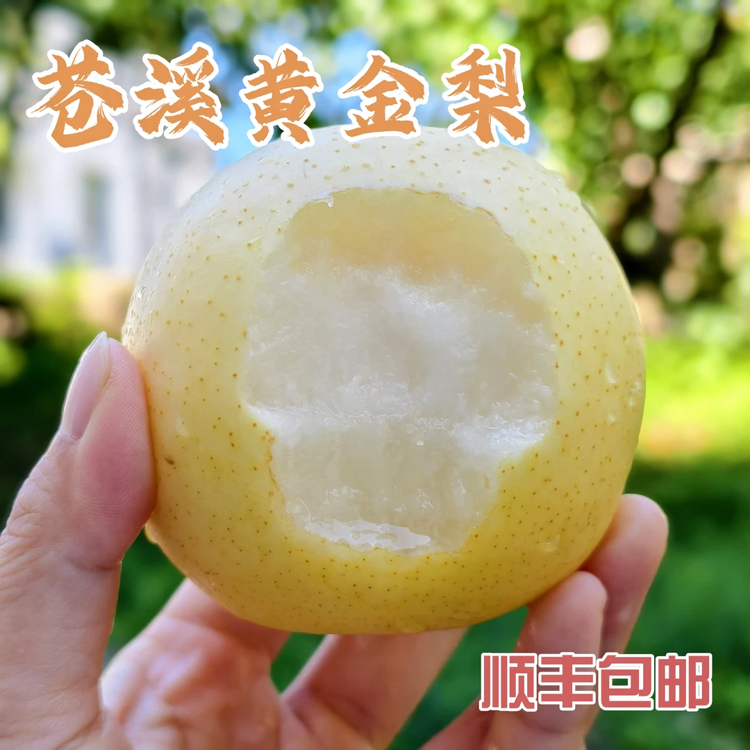 【猪哼哼】正宗四川苍溪黄金梨脆甜多汁产地直发顺丰包邮