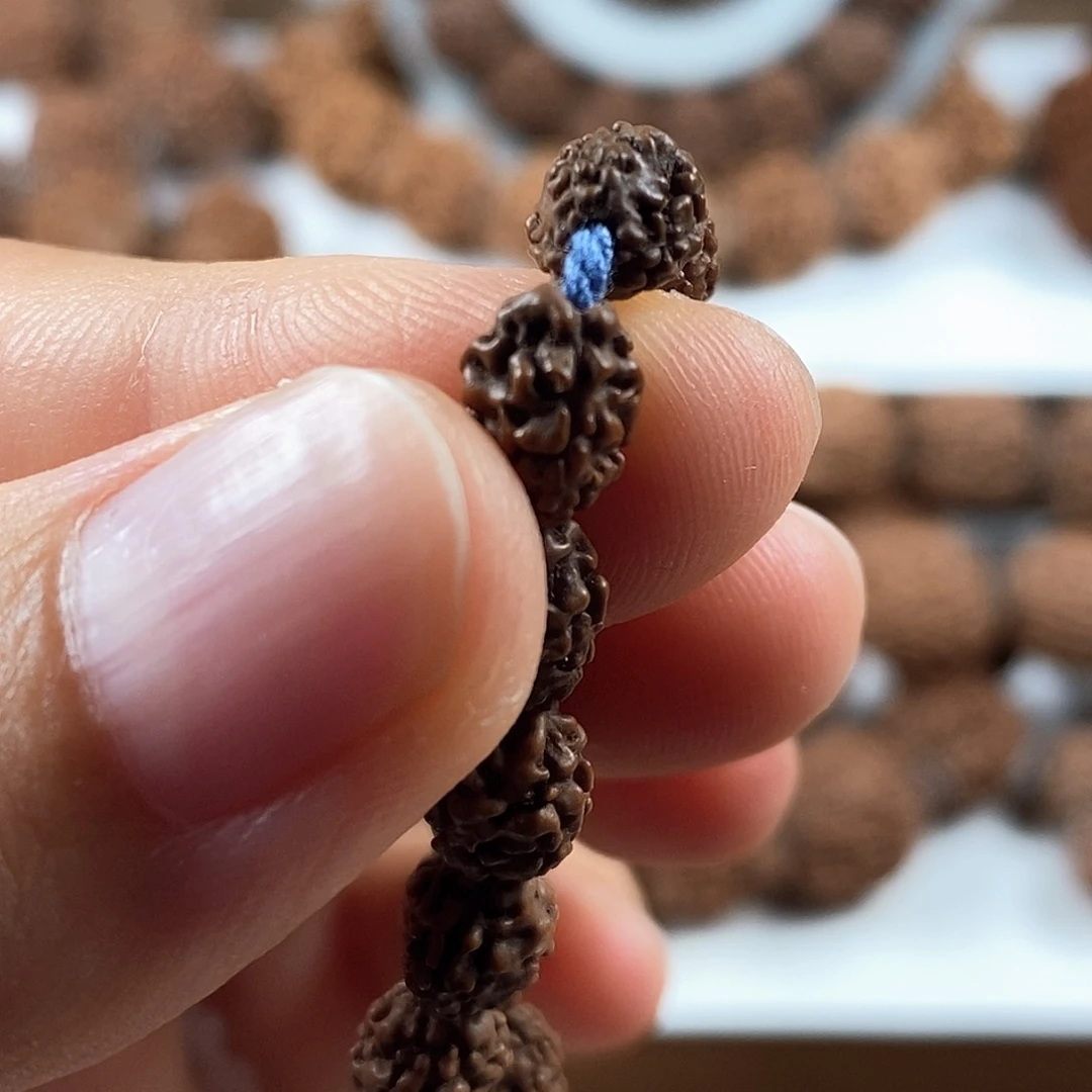 金刚菩提把件稀有精品3瓣红皮铁籽