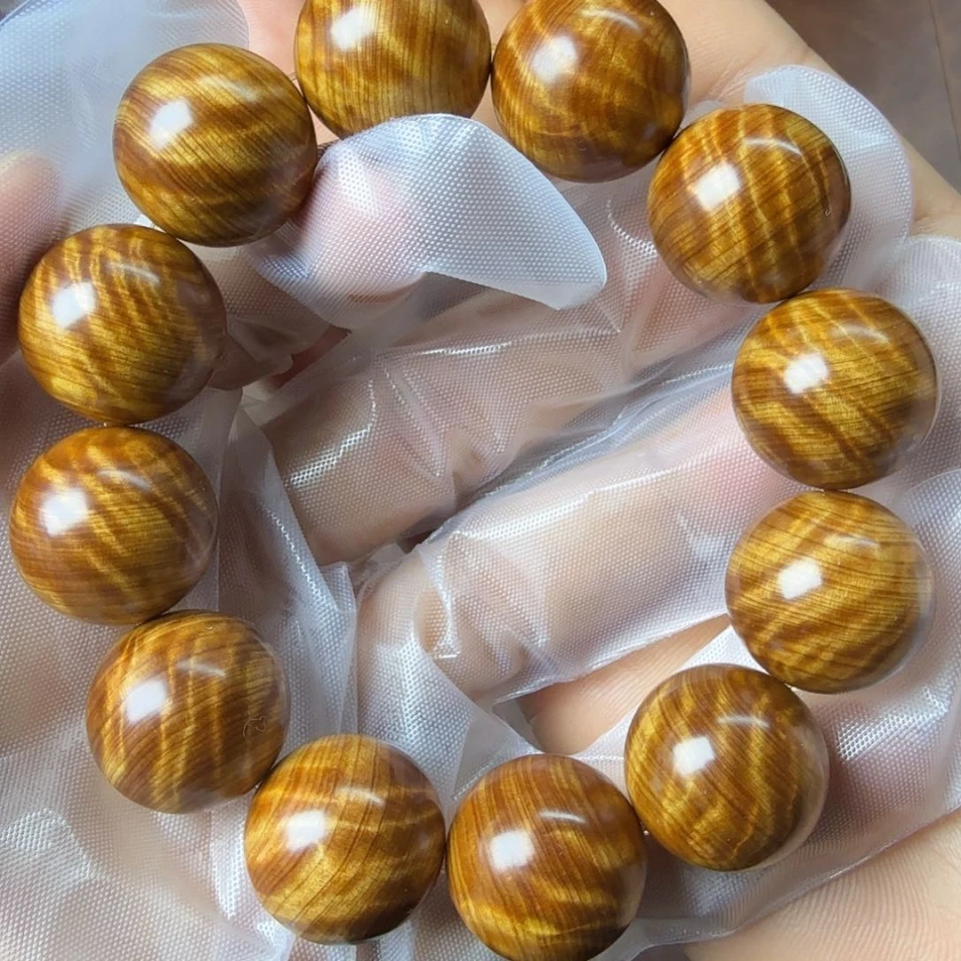 柏木（崖柏）2.0超爆黄金龙胆