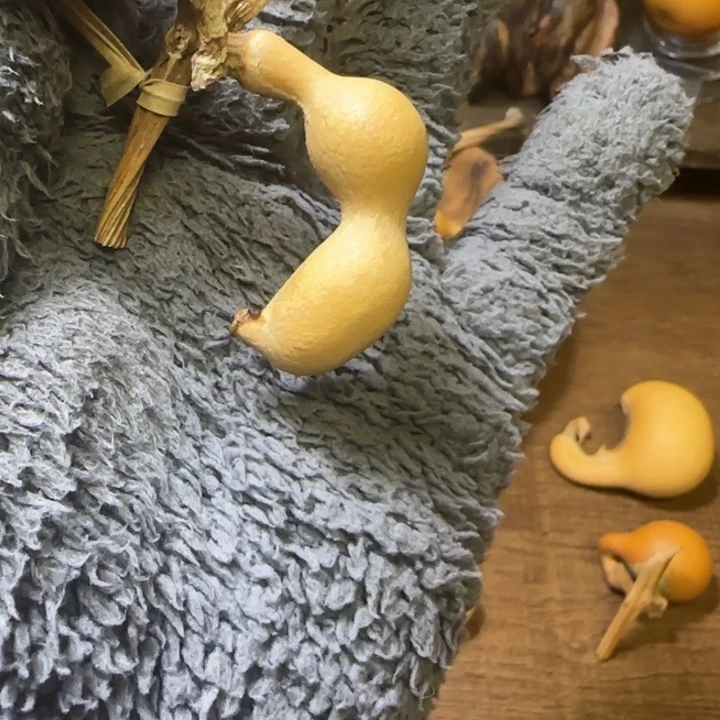 明**序蚂蚁天然葫芦葫芦葫芦葫芦葫芦