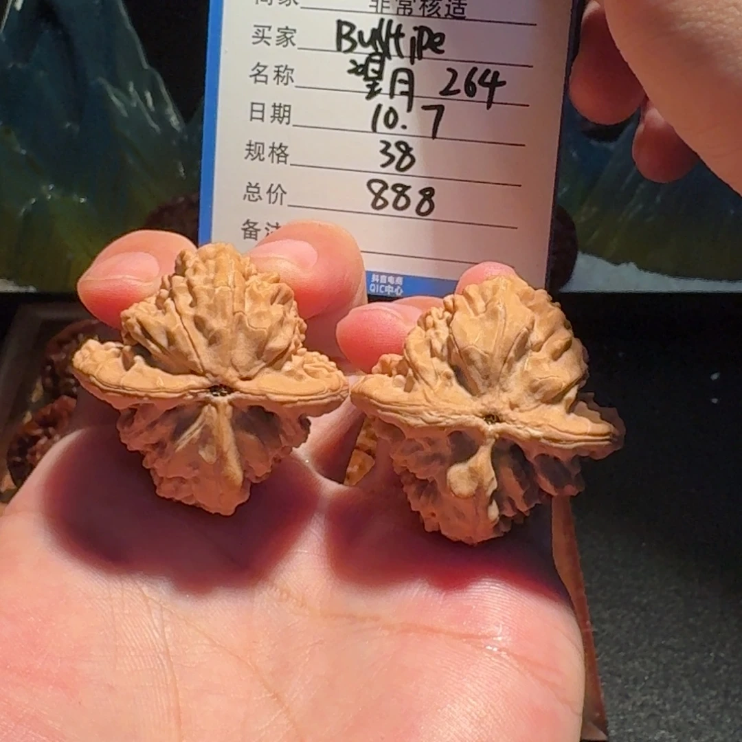 B***e一代望月编号264精品