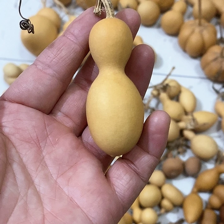 葫芦的颜色很好看