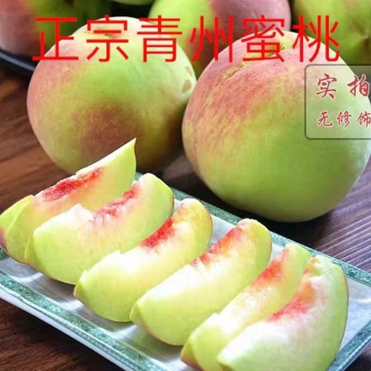 山东青州蜜桃新鲜应季脆甜离核红心山桃毛桃水果