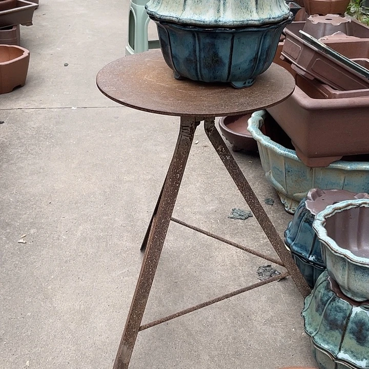 鹦***哥紫砂其他高温釉盆