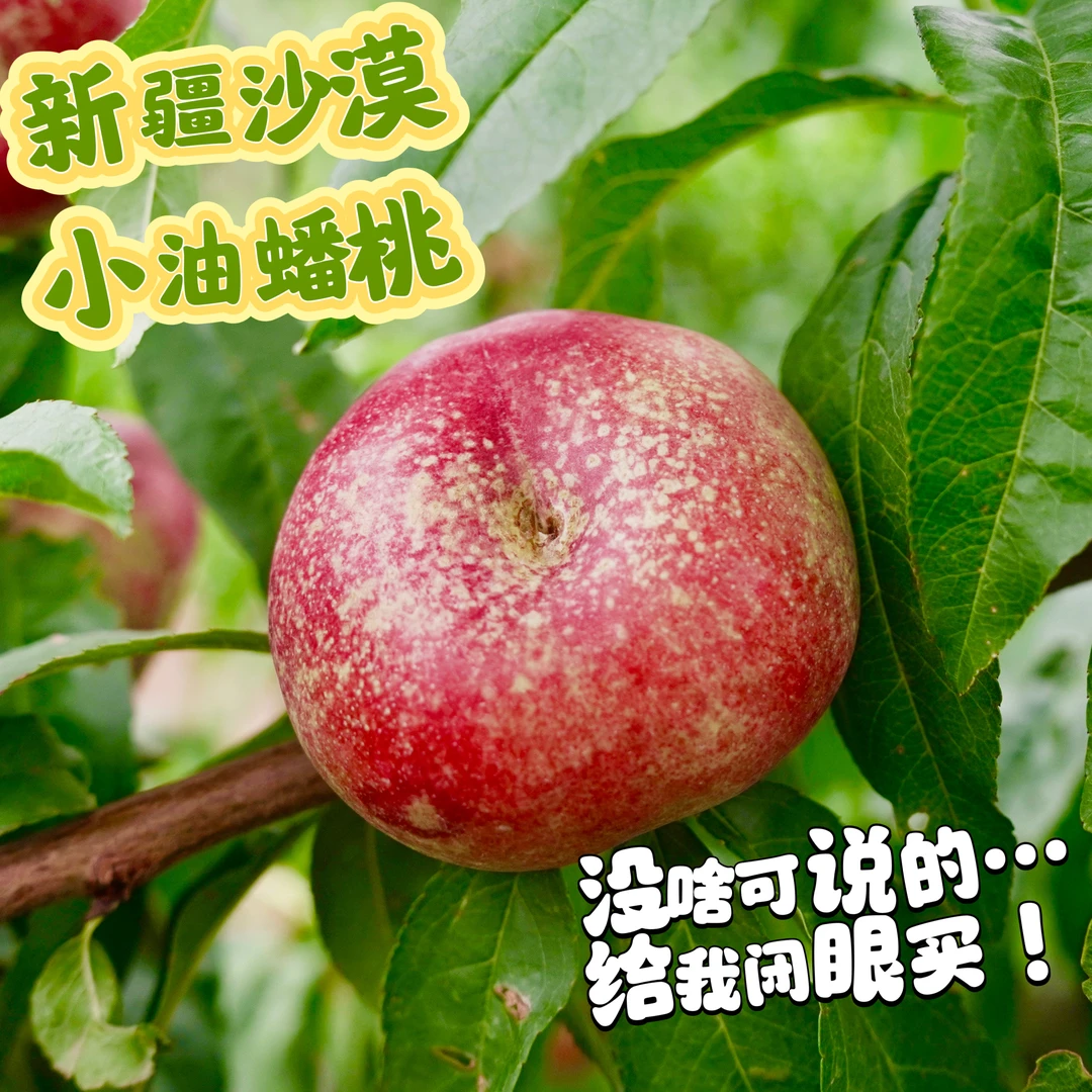 新疆沙漠小油蟠 浓香高甜风味酸 一口定胜负 2.8斤 顺丰空运