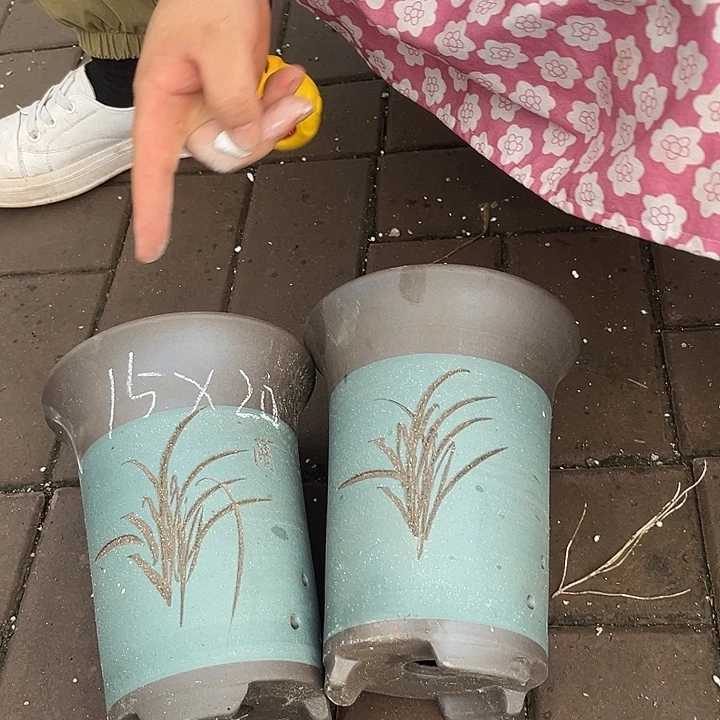 红泥花盆紫砂花盆