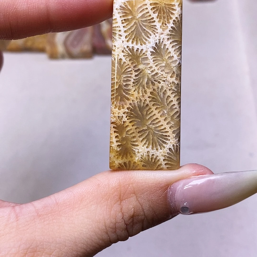 查罗石合金颈饰赵*依