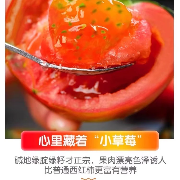 铁皮柿子新鲜西红柿中的贵族一口难忘3.5斤（+关注加送半斤试吃）番茄同城送铁皮柿子山东省