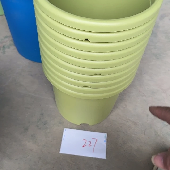 编号227缺口10个无托