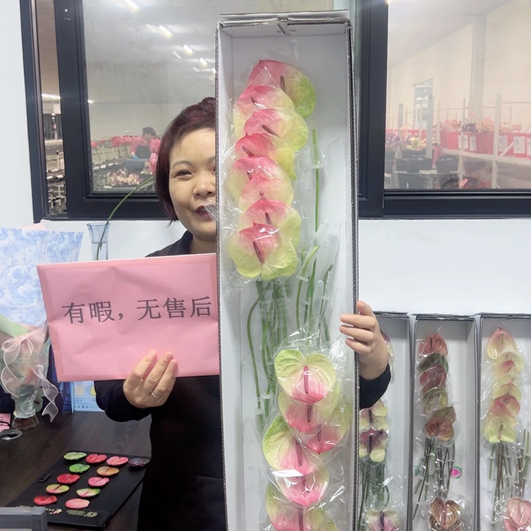 完全开放塞菲拉-16枝装无售后款！