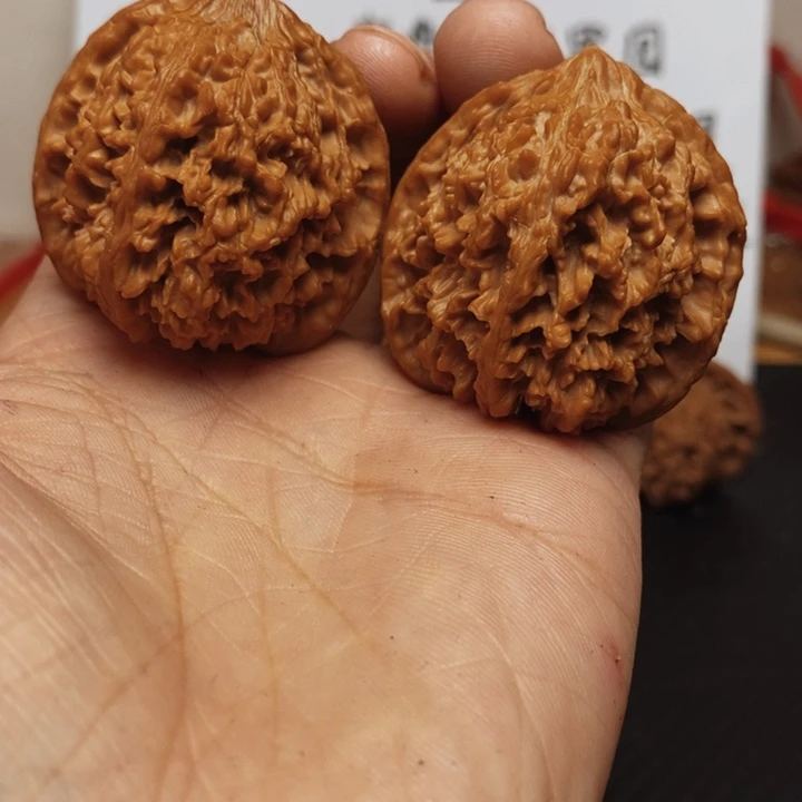 核桃42尺全品满天星打好底了