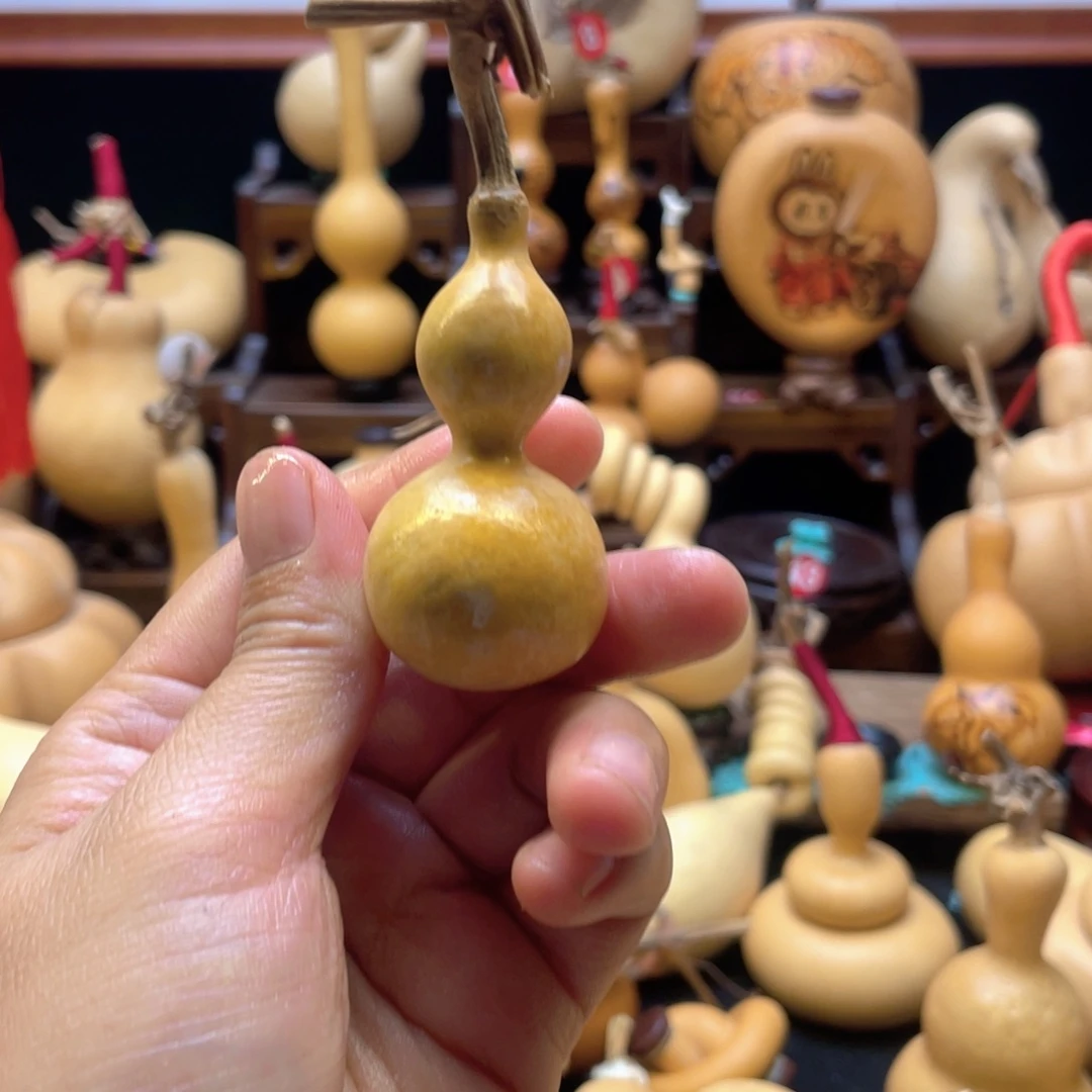 y****i大自然的秘密第十一节的