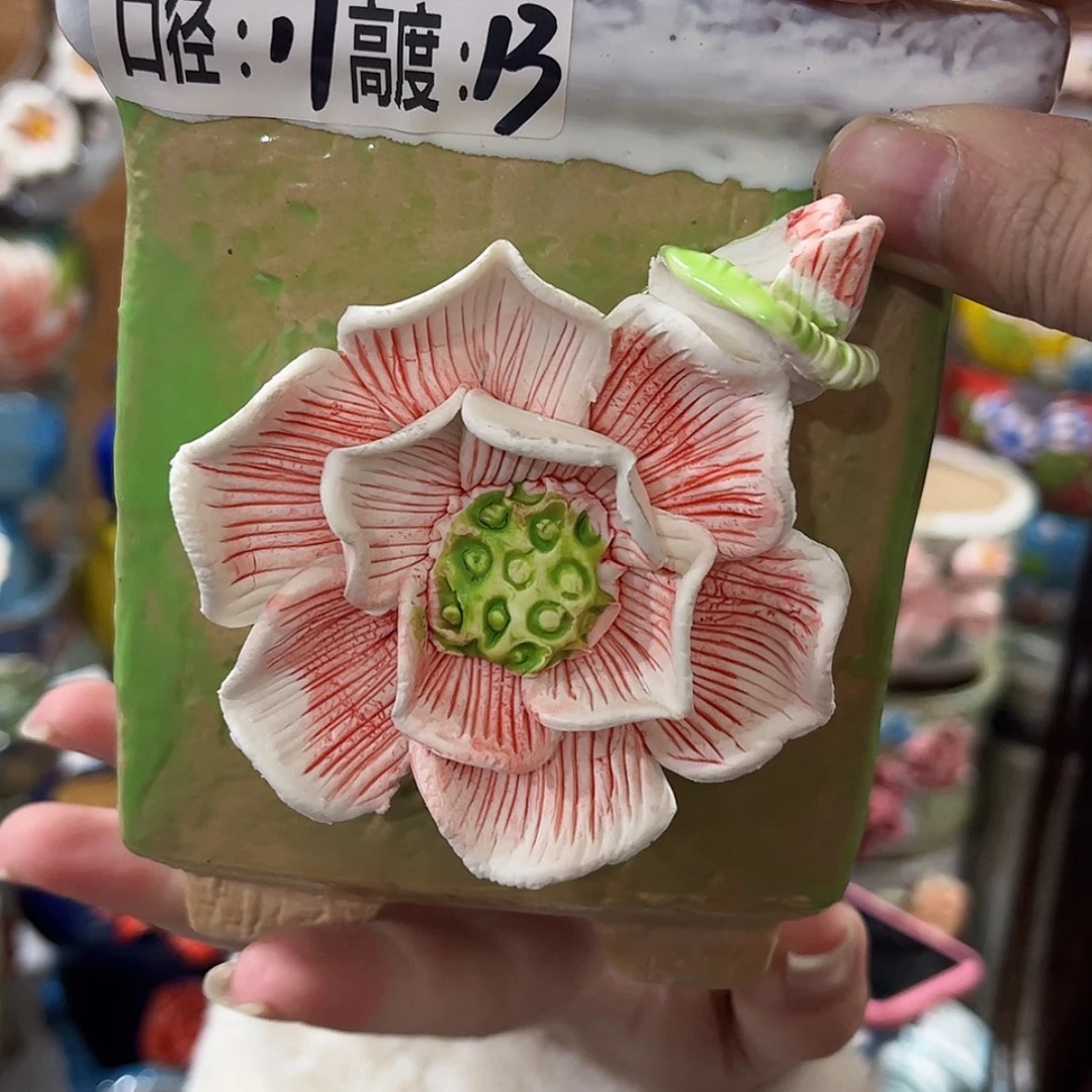 【闪购商品】红陶福利