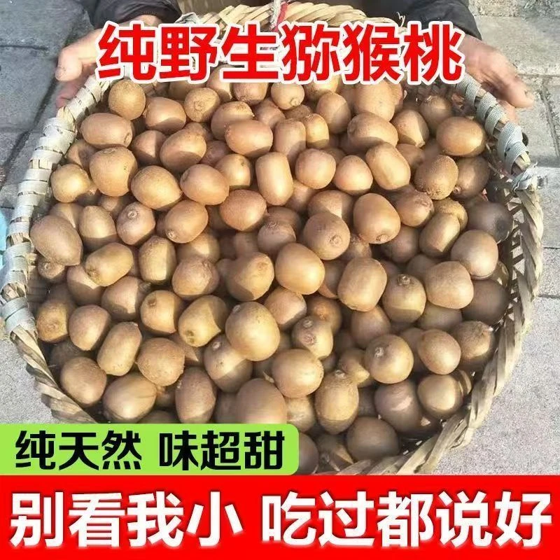 沂蒙山野生猕猴桃新鲜绿心奇异果香甜多汁当季水果