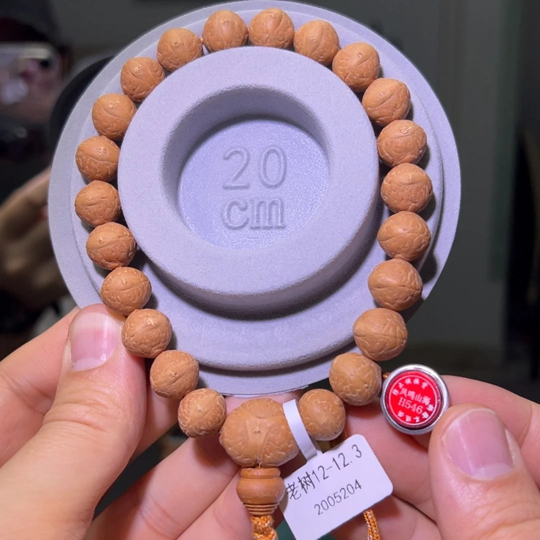 凤眼菩提手串老树