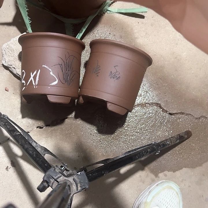 紫砂花盆破损包赔