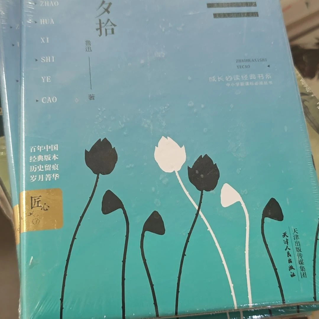 朝花夕拾精装塑封