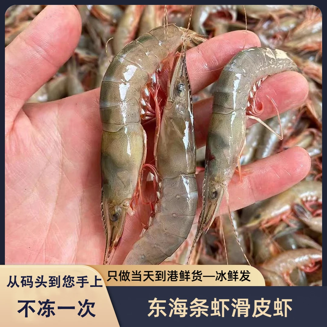 【大号】【3斤】冰鲜发 舟山野生条虾滑皮虾金钩虾剑虾