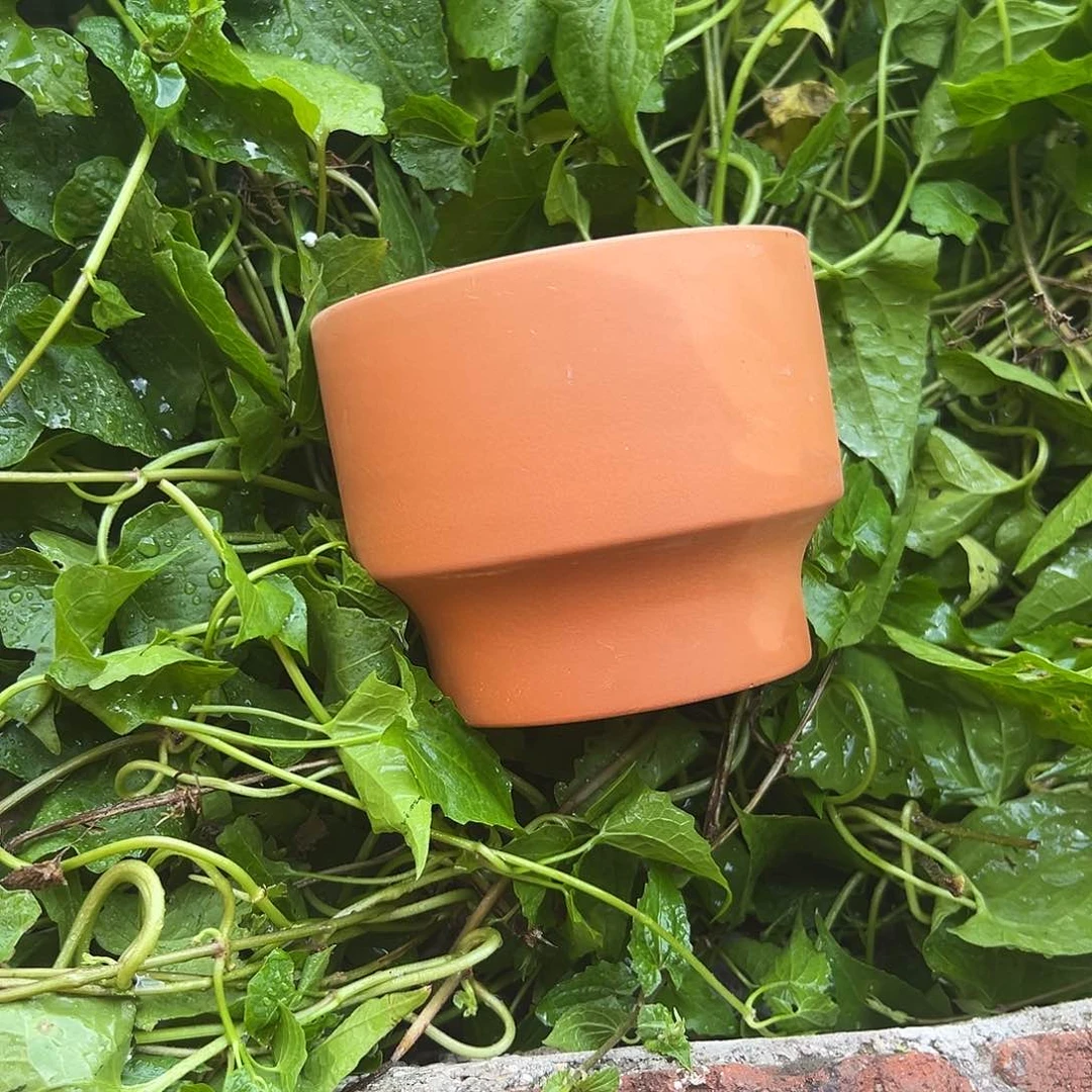 酒杯盆14口11高1只【微瑕】