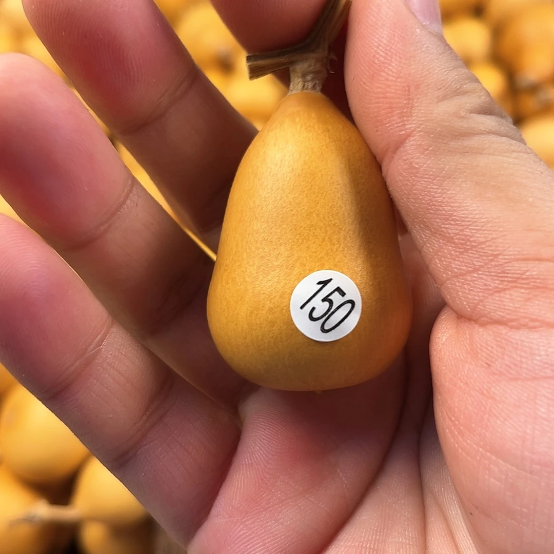 四葫芦葫芦葫芦葫芦150