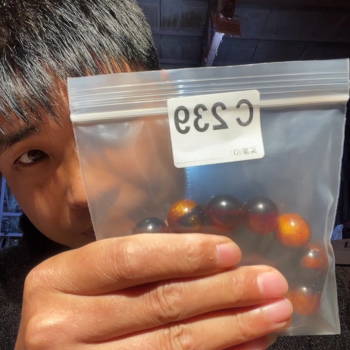 大叶紫檀（黑酸枝木类）239