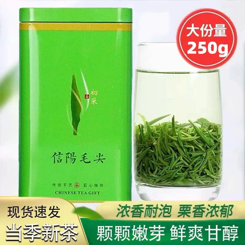 毛尖茶叶绿茶2025新茶信阳毛尖雨前春茶浓香型正宗袋装毛尖茶批发