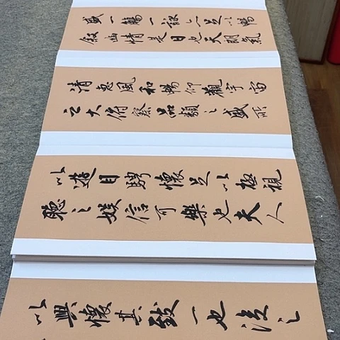 扇子用****1兰亭集序行书册页作品