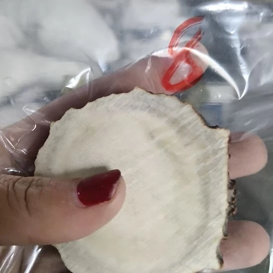 G***n鹿角鹿角鹿角鹿角鹿角鹿角