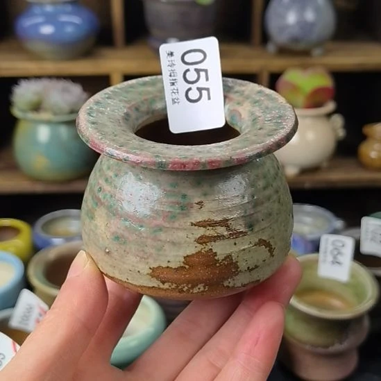 美玲多肉拇指花盆055