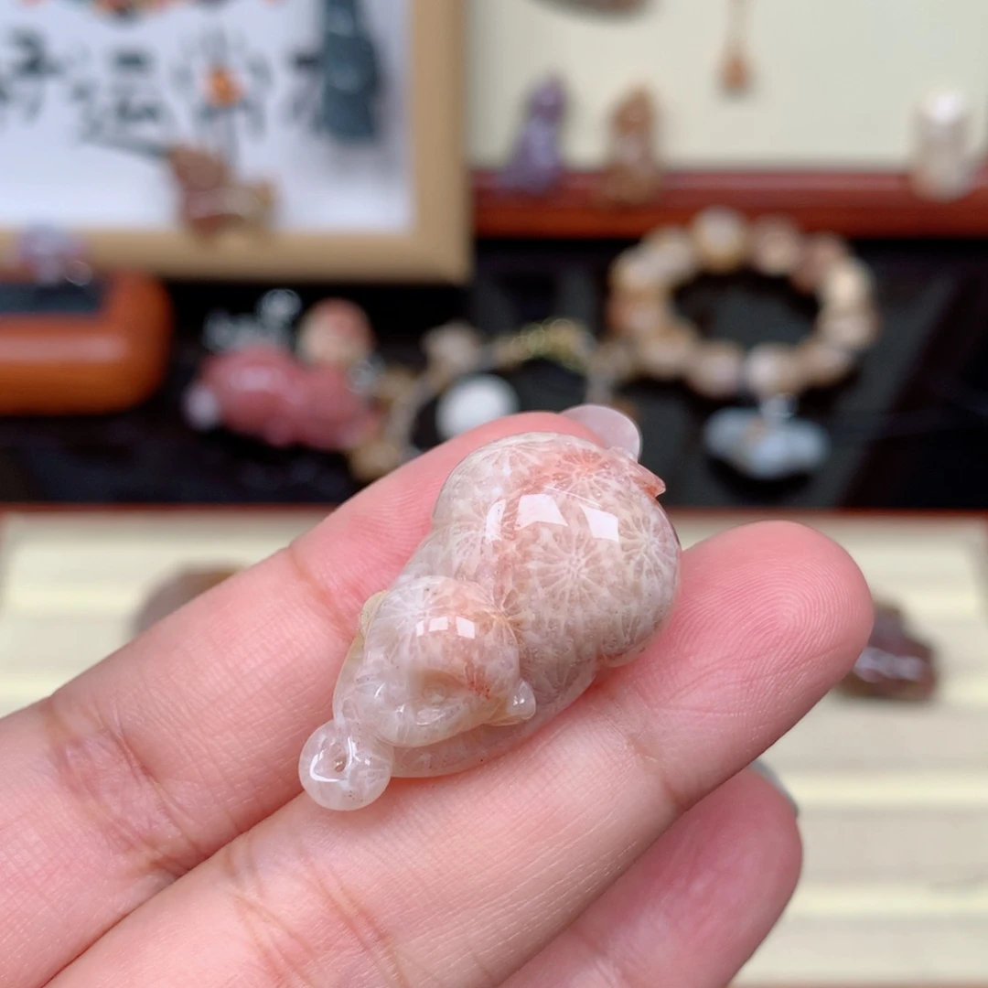 硅化玉珊瑚玉未镶嵌