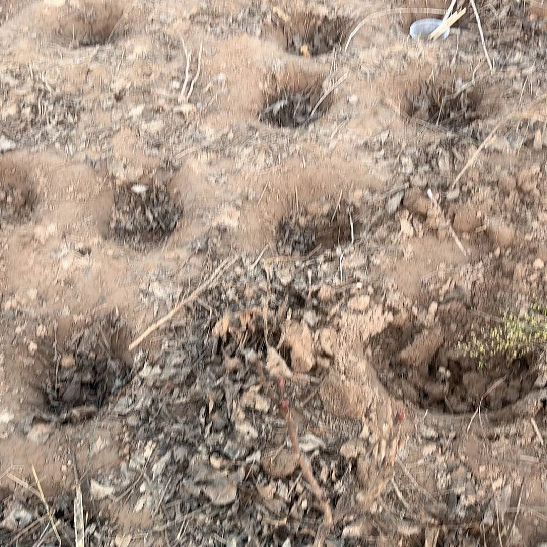 完全开放1111111111111