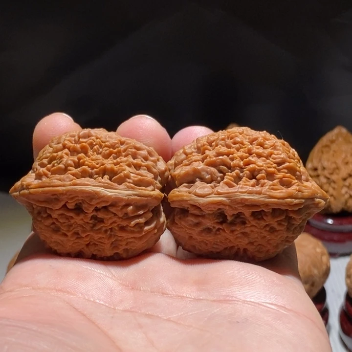 把件文玩核桃35.5尺大蒜头