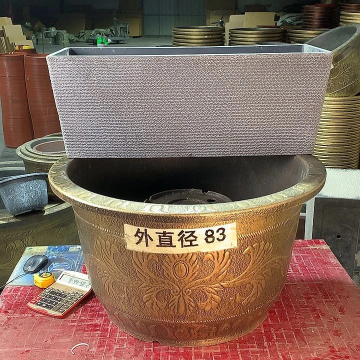 诺**亚xc vb b b n n n m k