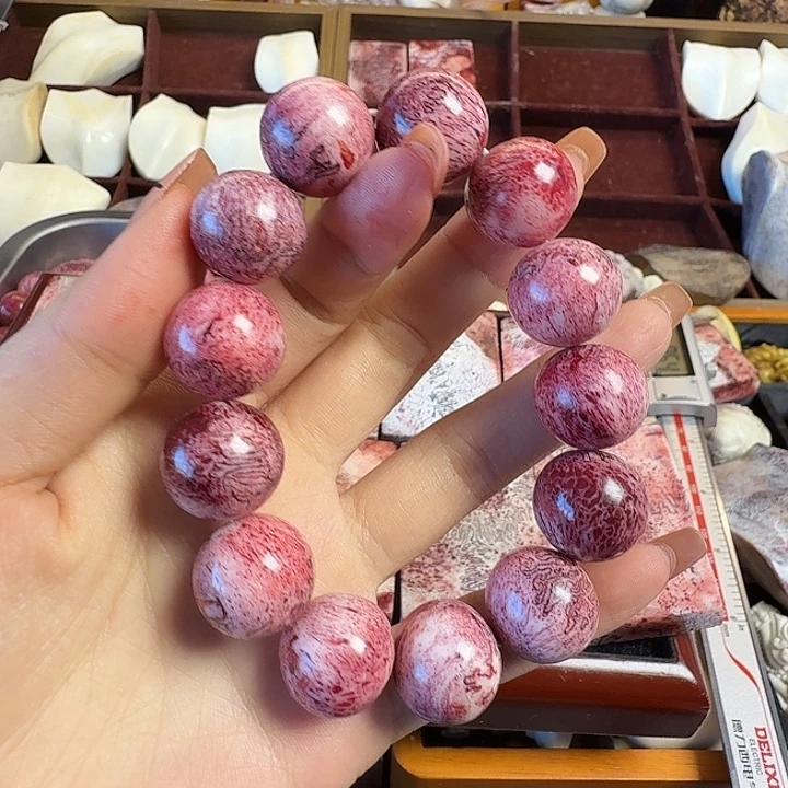 @***এ养殖鹿骨三界珠1.8一条