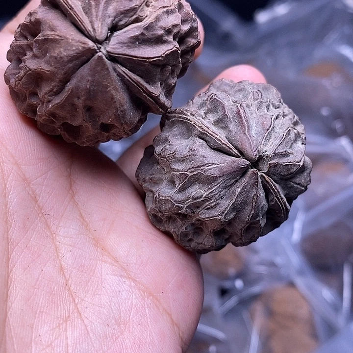 吊坠文玩核桃    220