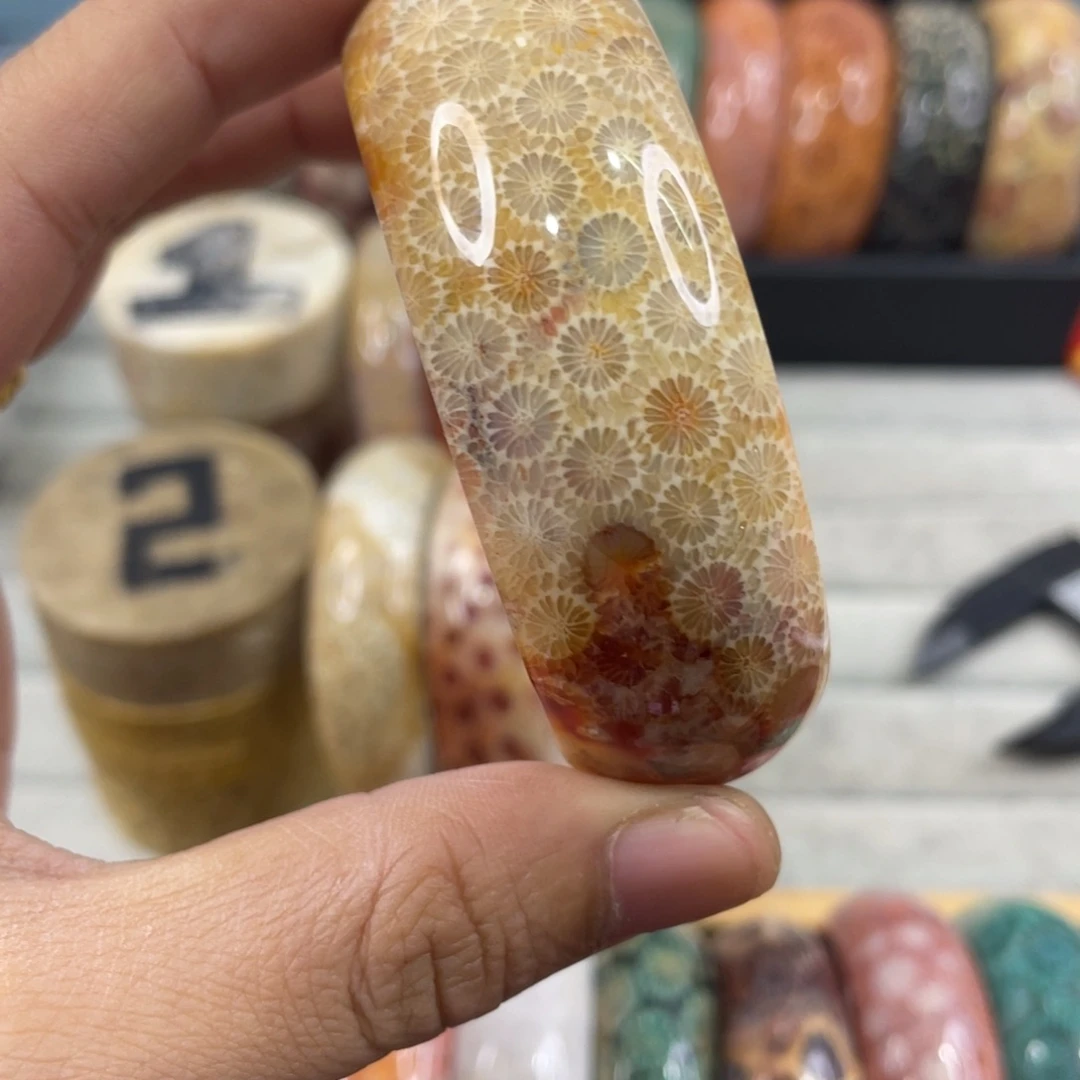 未镶嵌手镯硅化玉