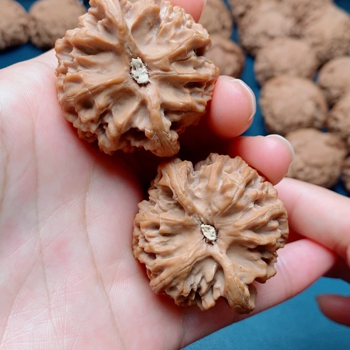 文玩核桃把件苹果园全品42