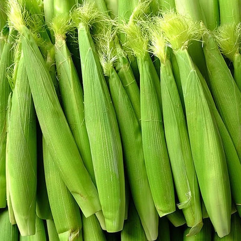 福建新鲜玉米笋1斤3斤5斤装