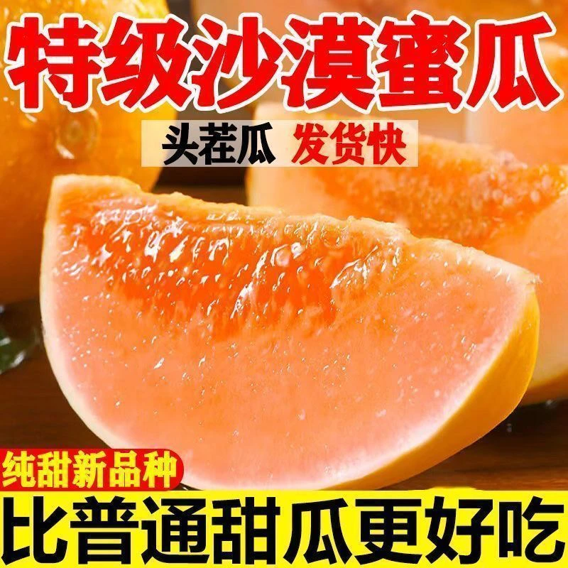 甘肃民勤沙漠蜜瓜金头茬新鲜采摘清甜多汁水果
